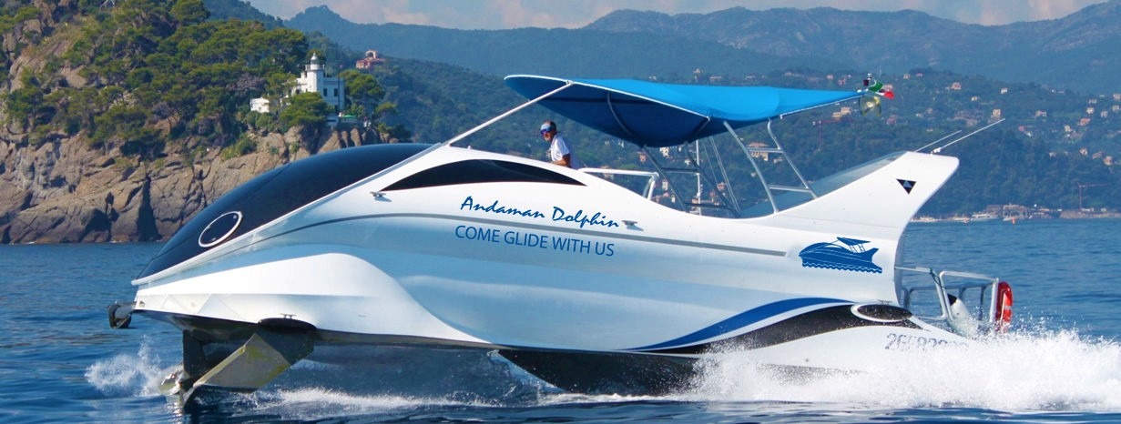 Andaman Dolphin Activity in Andaman